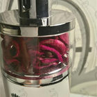 Отзыв Ajmal Cerise