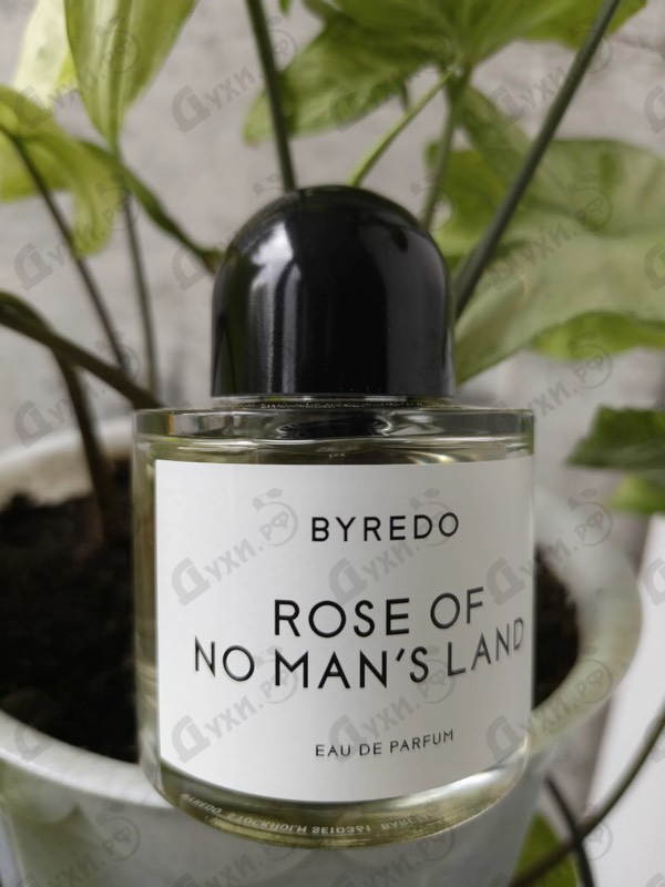 Парфюмерия Byredo Parfums Rose Of No Man's Land
