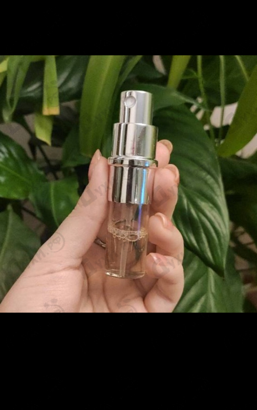 Отзывы Miu Miu Miu Miu