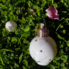 Отзыв Britney Spears Fantasy Intimate Edition