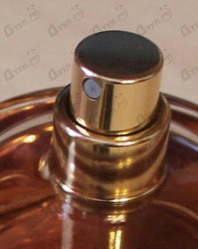 Отзыв Dsquared2 Want