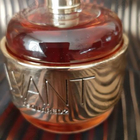 Отзыв Dsquared2 Want