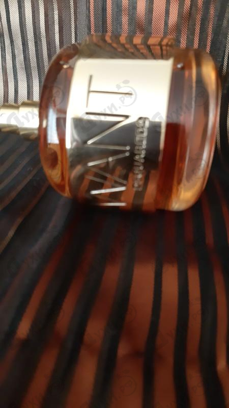 Отзыв Dsquared2 Want