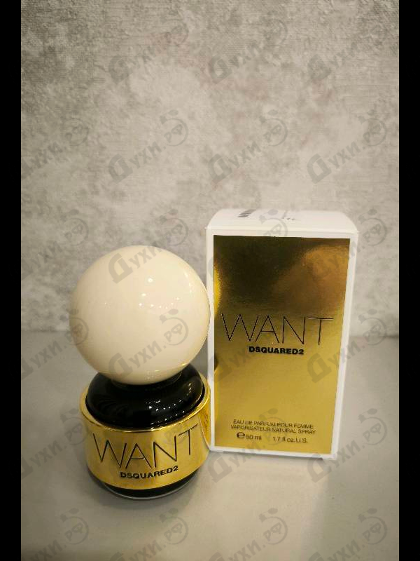 Купить Want от Dsquared2