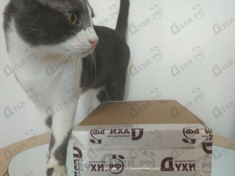 Отзывы Lalique Rеve D'infini Купить Rеve D'infini от Lalique