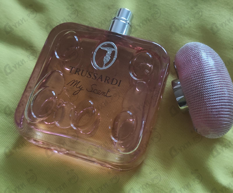 Духи My Scent от Trussardi Отзывы Trussardi My Scent