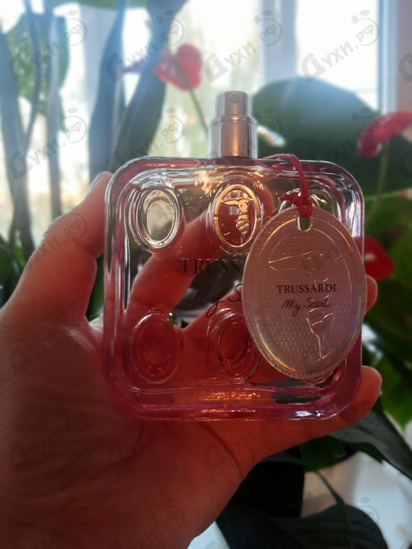 Купить My Scent от Trussardi Отзывы Trussardi My Scent