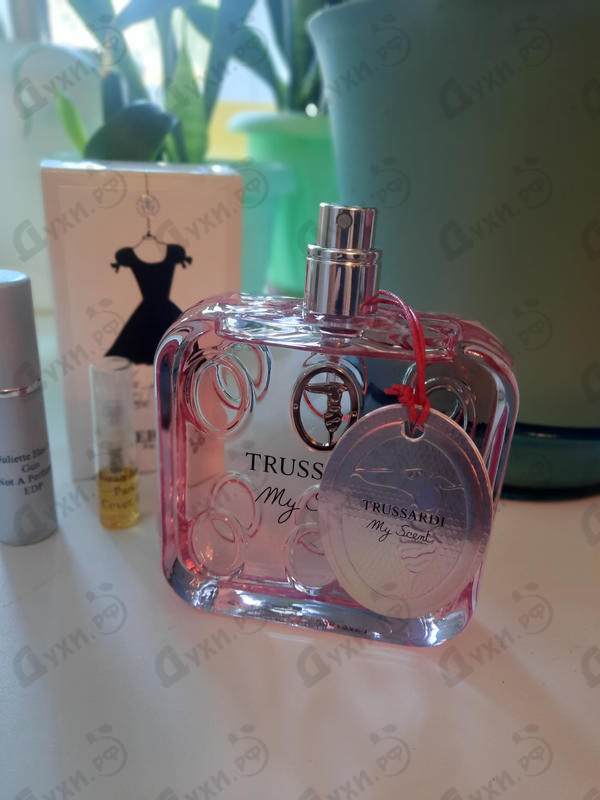 Отзыв Trussardi My Scent Духи My Scent от Trussardi