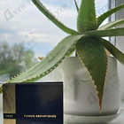 Парфюм Lalique Terres Aromatiques