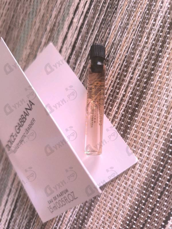 Парфюмерия Velvet Exotic Leather от Dolce & Gabbana
