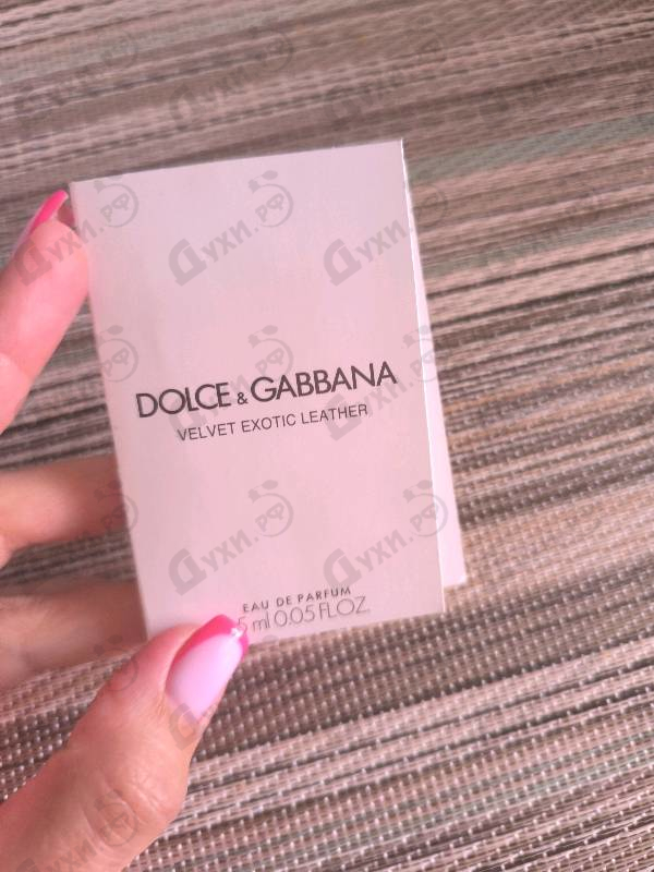 Парфюмерия Velvet Exotic Leather от Dolce & Gabbana