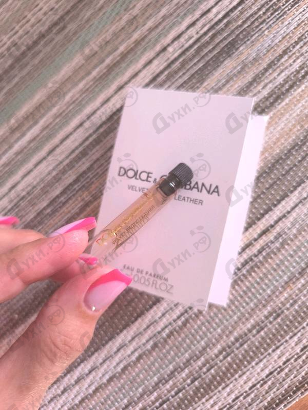 Купить Velvet Exotic Leather от Dolce & Gabbana
