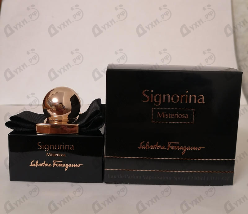 Купить Signorina Misteriosa от Salvatore Ferragamo