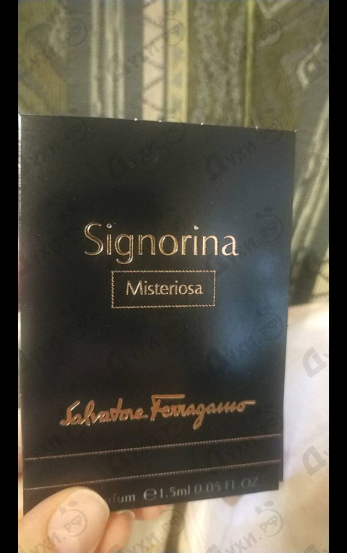 Купить Signorina Misteriosa от Salvatore Ferragamo