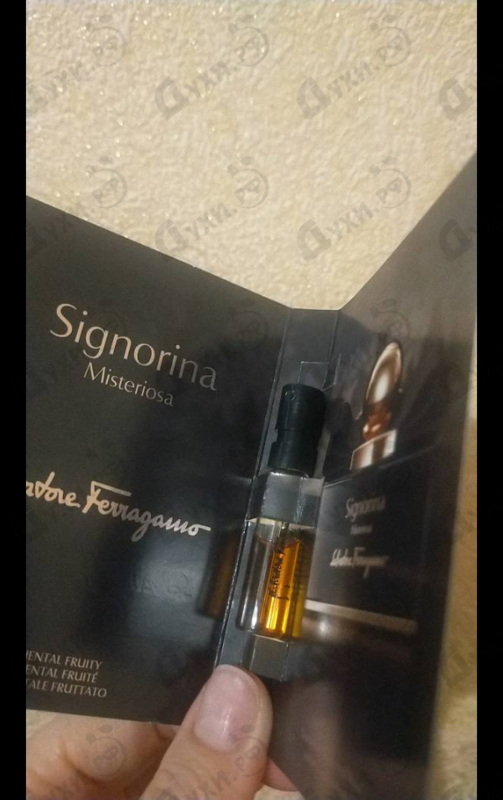 Купить Signorina Misteriosa от Salvatore Ferragamo
