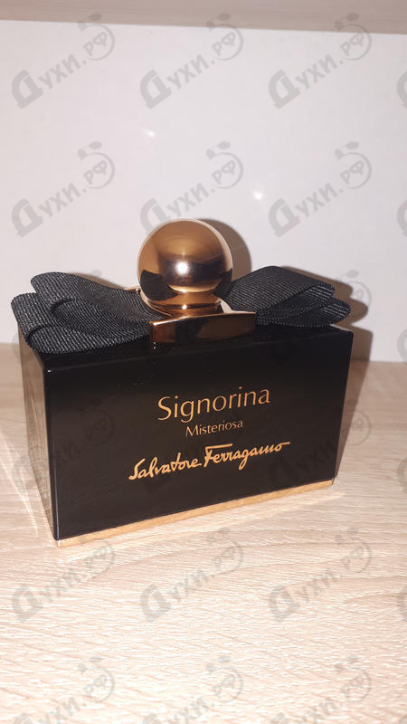 Купить Signorina Misteriosa от Salvatore Ferragamo