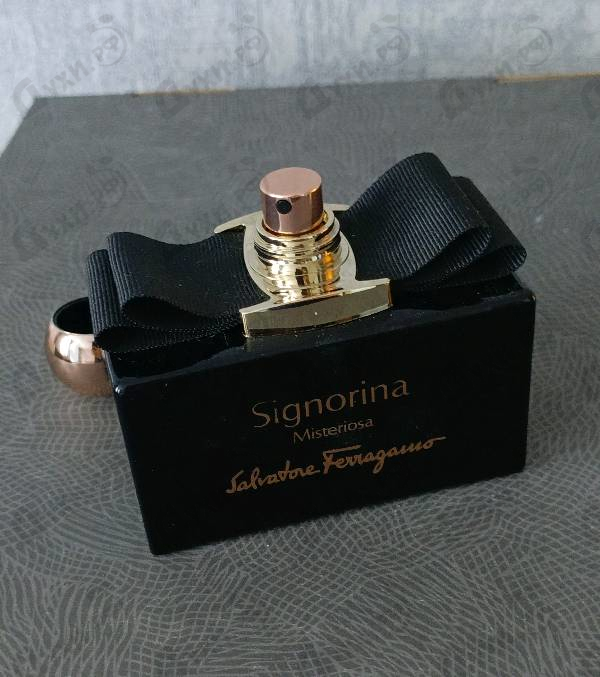 Купить Signorina Misteriosa от Salvatore Ferragamo