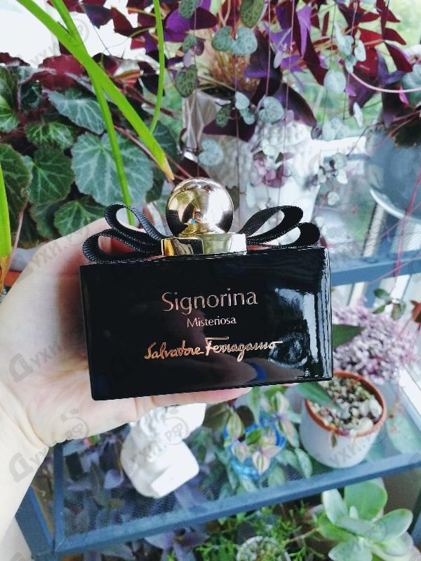 Парфюмерия Signorina Misteriosa от Salvatore Ferragamo