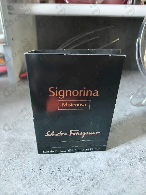 Отзыв Salvatore Ferragamo Signorina Misteriosa