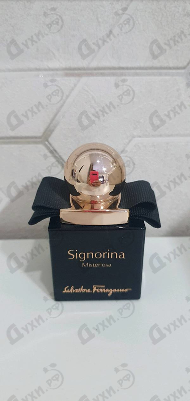 Купить Signorina Misteriosa от Salvatore Ferragamo