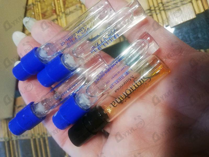 Купить Signorina Misteriosa от Salvatore Ferragamo