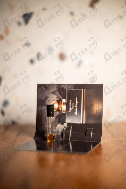 Купить Signorina Misteriosa от Salvatore Ferragamo