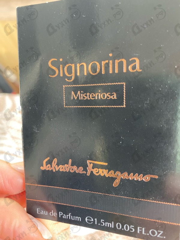 Купить Signorina Misteriosa от Salvatore Ferragamo