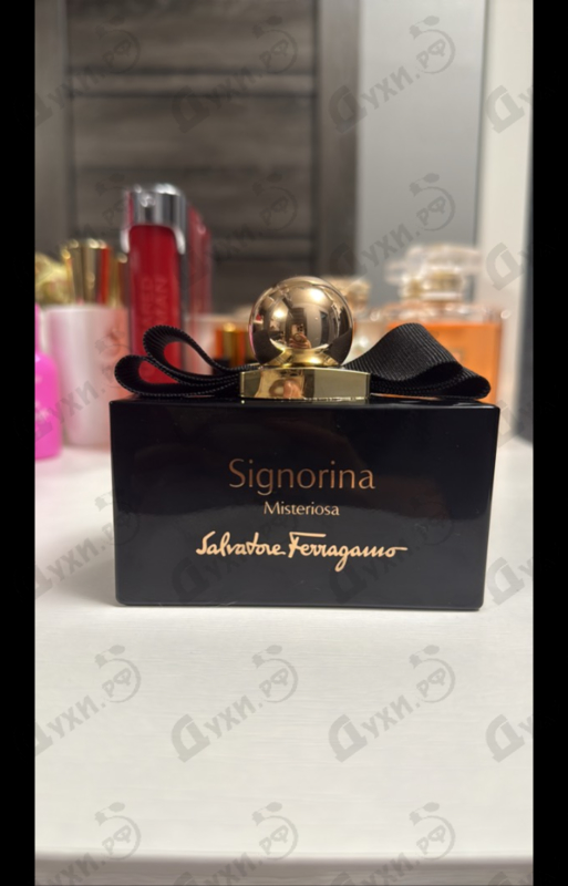 Купить Signorina Misteriosa от Salvatore Ferragamo