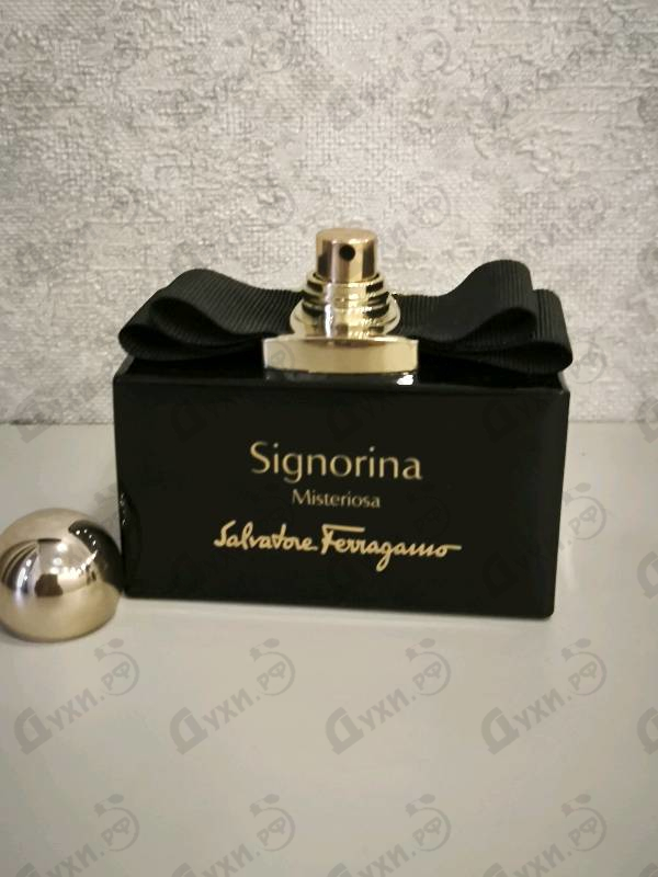 Купить Signorina Misteriosa от Salvatore Ferragamo