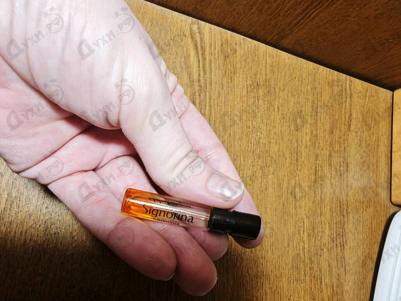 Купить Salvatore Ferragamo Signorina Misteriosa