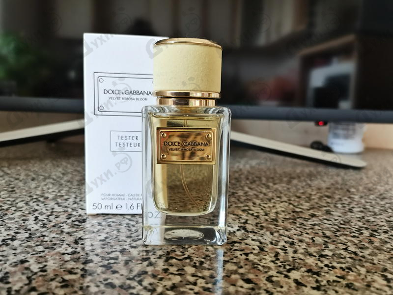 Парфюмерия Velvet Mimosa Bloom от Dolce & Gabbana