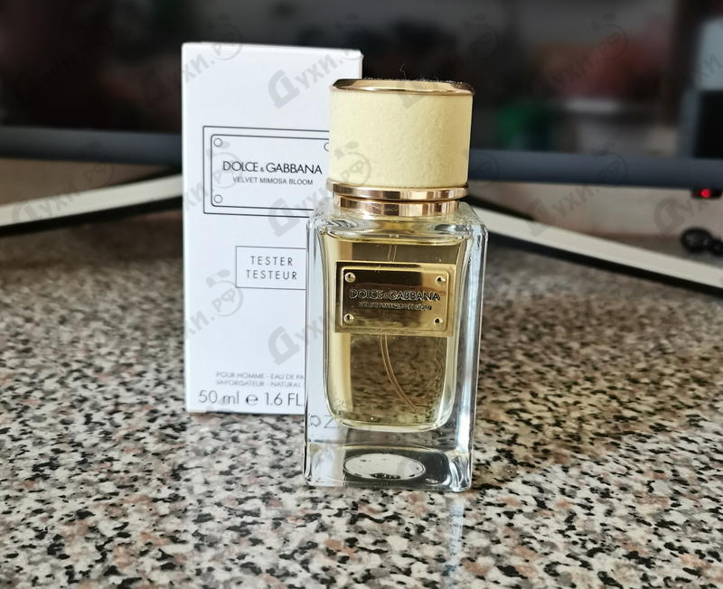 Отзывы Dolce & Gabbana Velvet Mimosa Bloom