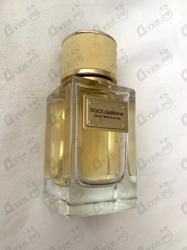 Купить Velvet Mimosa Bloom от Dolce & Gabbana