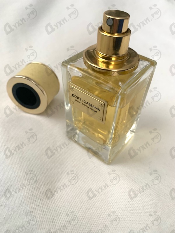 Парфюмерия Velvet Mimosa Bloom от Dolce & Gabbana