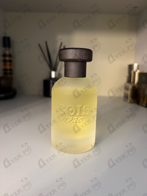 Купить Classic от BOIS 1920