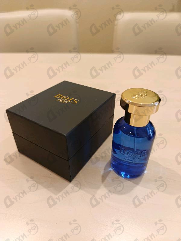 Купить Oltremare от BOIS 1920