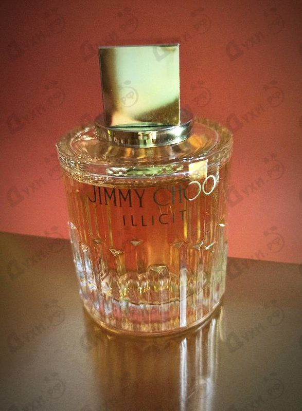 Купить Jimmy Choo Illicit