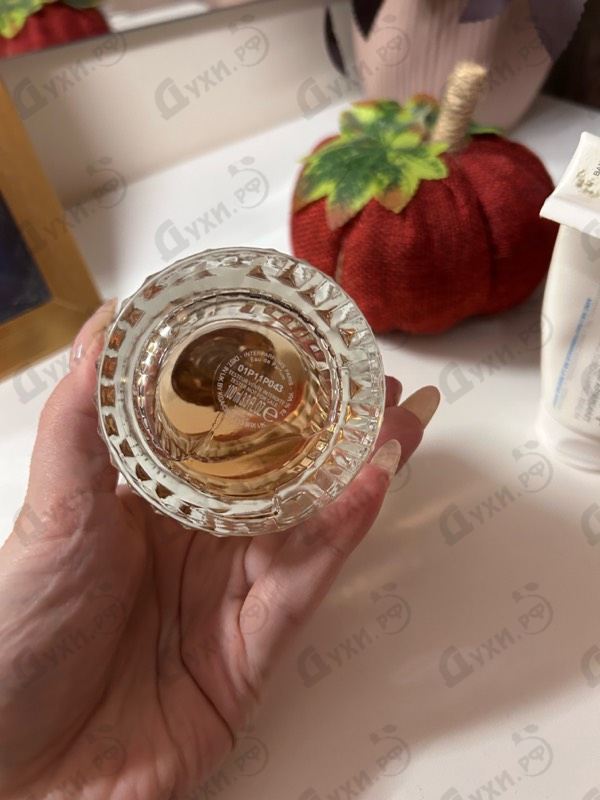 Парфюмерия Illicit от Jimmy Choo