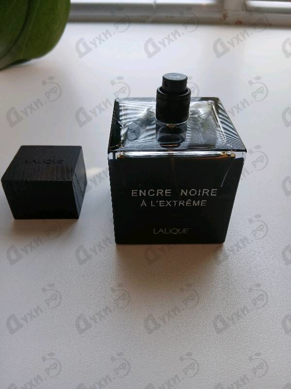 Отзыв Lalique Encre Noire A L'extreme