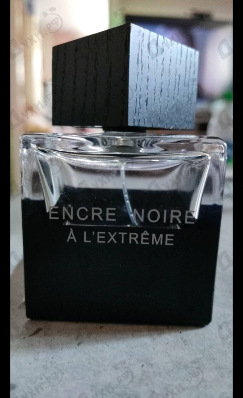 Отзывы Lalique Encre Noire A L'extreme