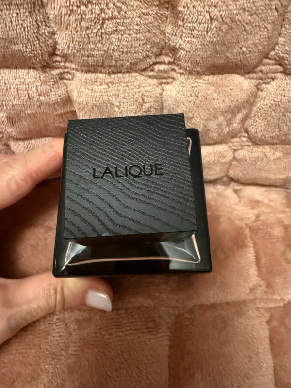 Парфюмерия Encre Noire A L'extreme от Lalique