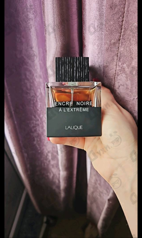 Парфюмерия Encre Noire A L'extreme от Lalique