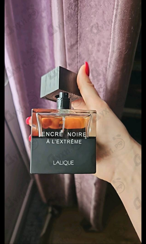 Парфюмерия Encre Noire A L'extreme от Lalique