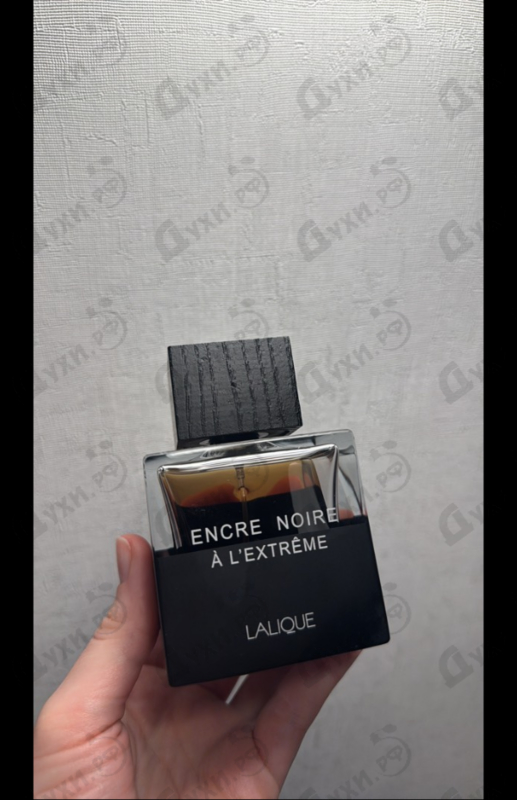 Парфюмерия Encre Noire A L'extreme от Lalique