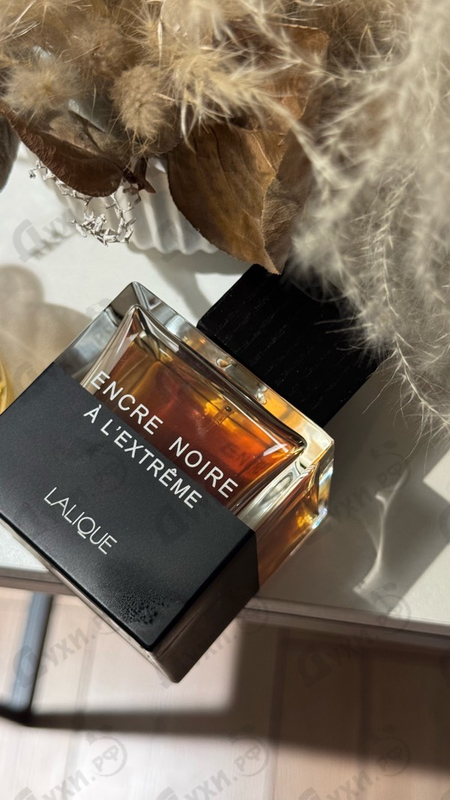Парфюмерия Encre Noire A L'extreme от Lalique