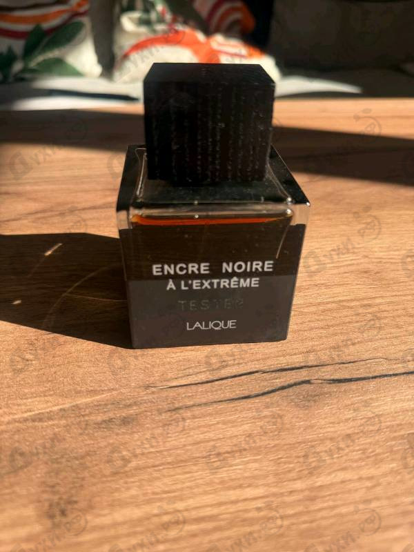 Купить Encre Noire A L'extreme от Lalique