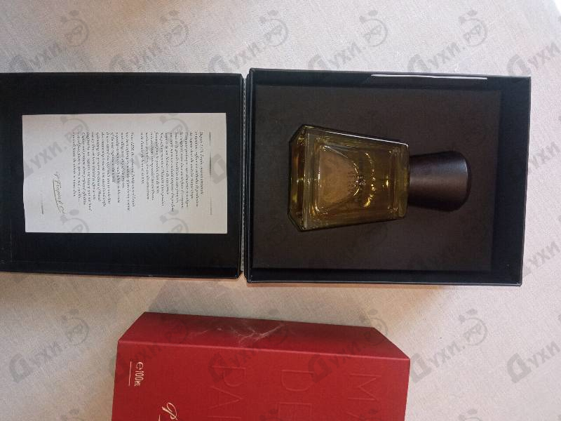 Духи Speakeasy от Frapin