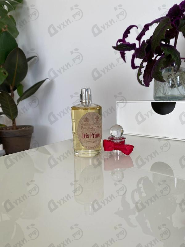 Купить Iris Prima от Penhaligon's