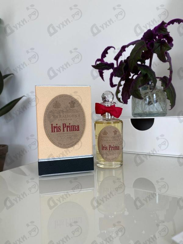 Отзывы Penhaligon's Iris Prima