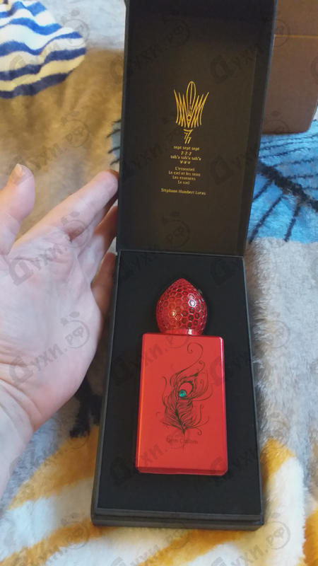 Купить Qom Chilom от Stephane Humbert Lucas 777